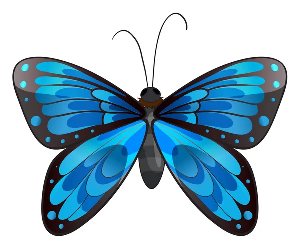 Una hermosa mariposa azul — Vector de stock