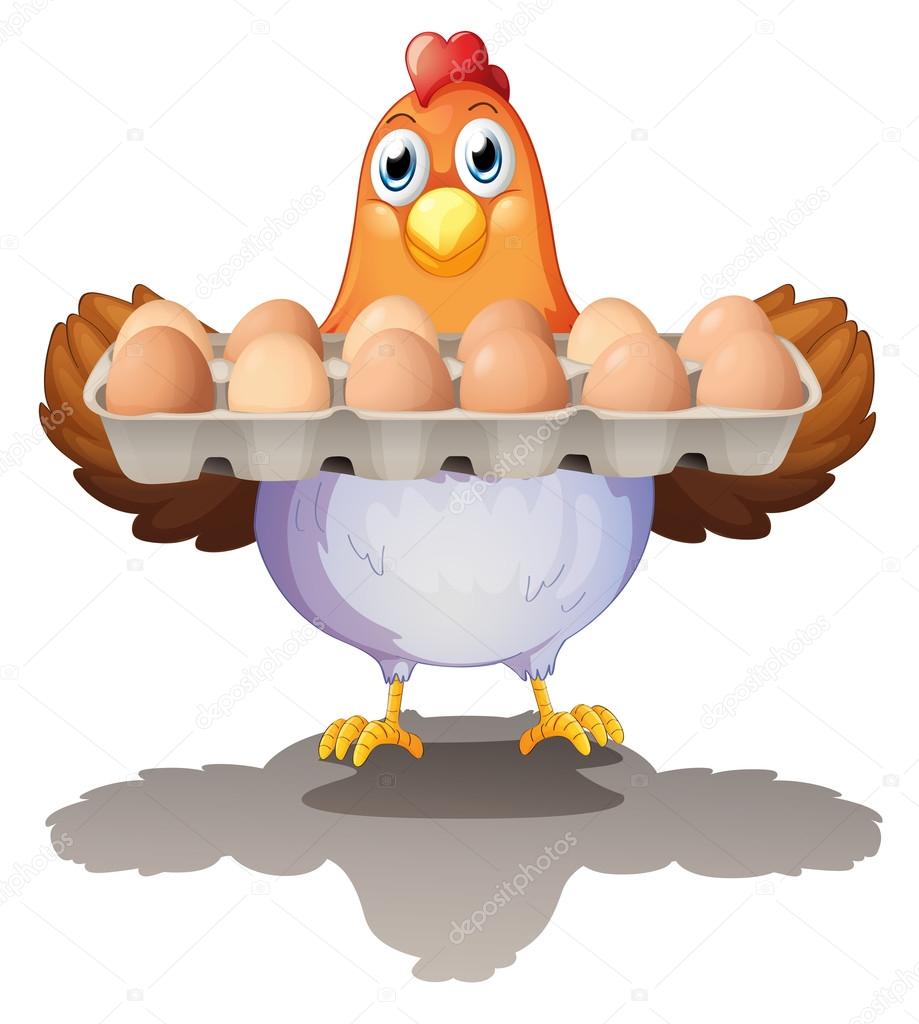 A hen holding a tray of eggs