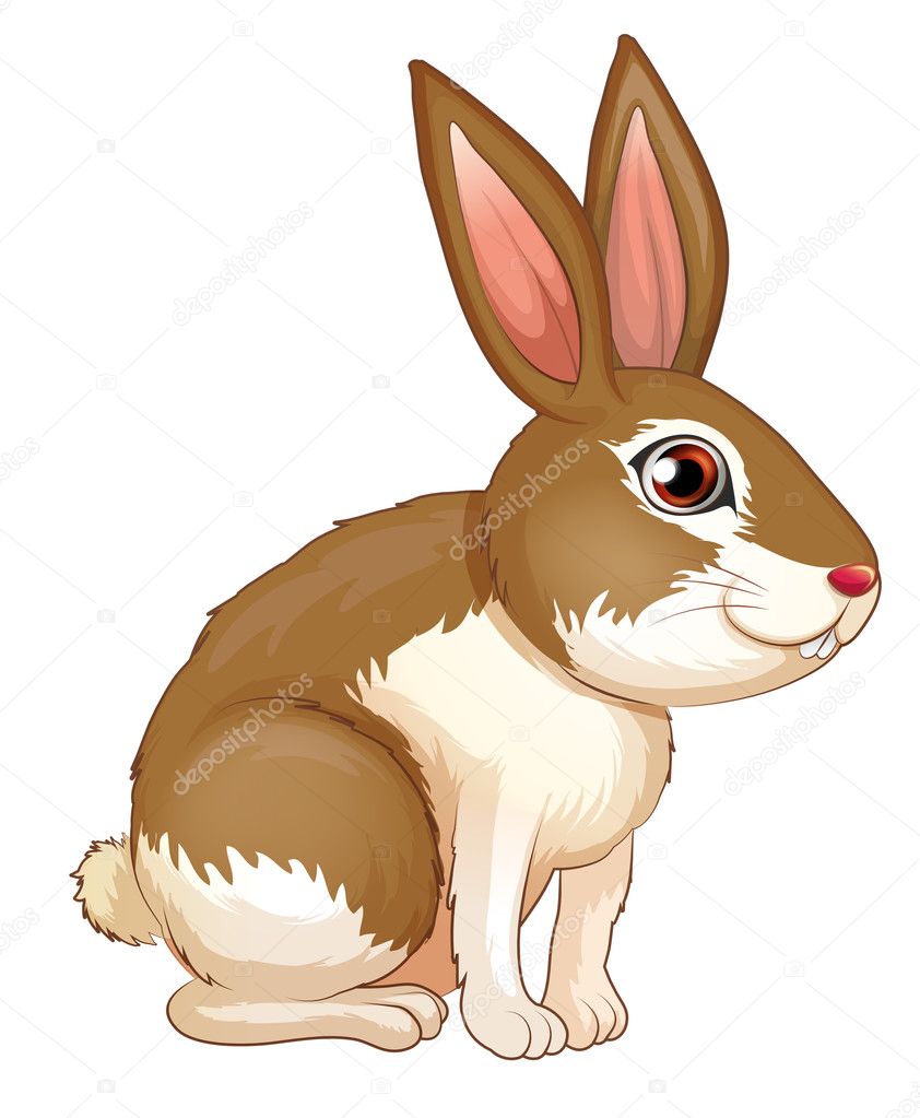 A fat brown rabbit