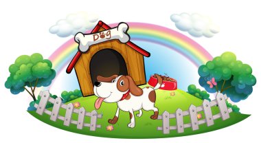 bir köpek kulübesi ile yavru köpek çit içinde