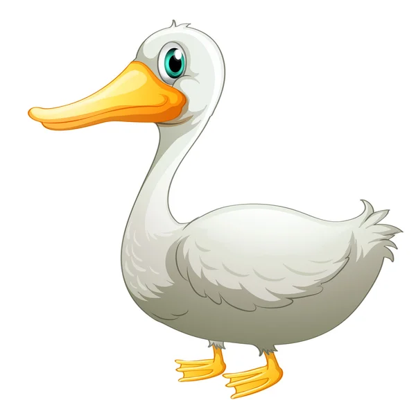 Un pato blanco — Vector de stock