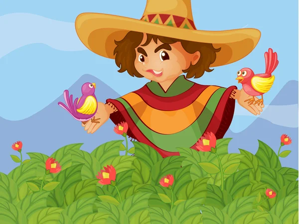 Un garçon dans le jardin avec deux oiseaux — Image vectorielle