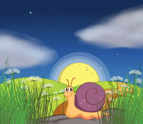 A snail at the hills in the middle of the night — Stock Vector