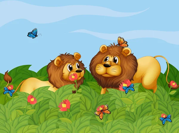 Two lions in the garden with butterflies — Stock Vector