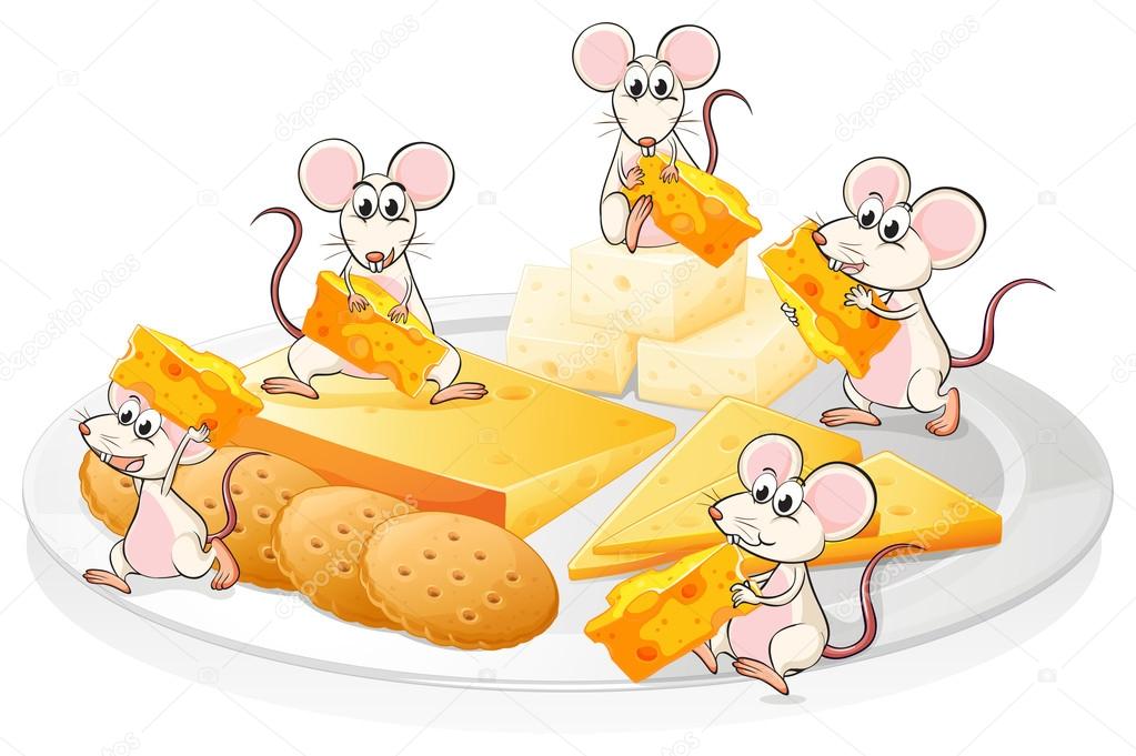 Five mice with cheese and biscuits