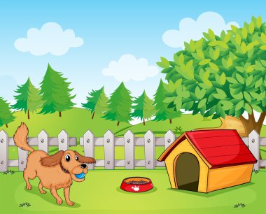 Çitten içeri oynayan köpek