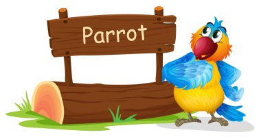 ahşap bir tabela ile renkli bir kuş