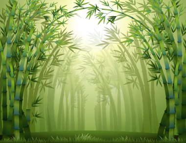 Yeşil Bambu ormanı