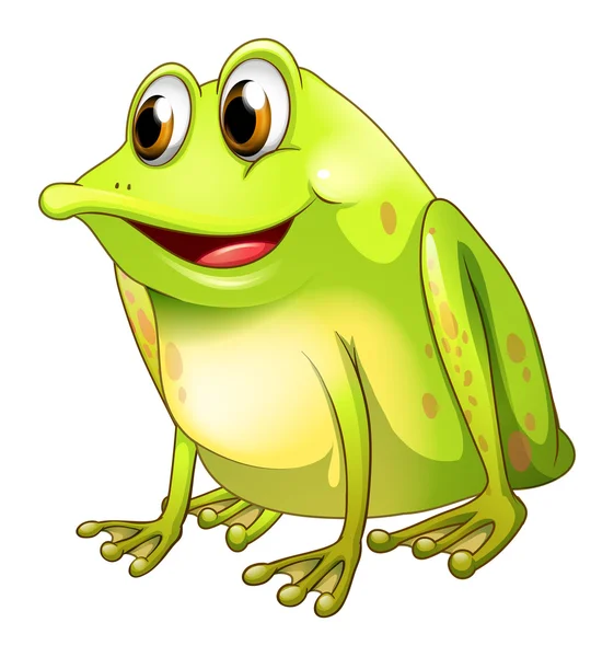 A green bullfrog — Stock Vector