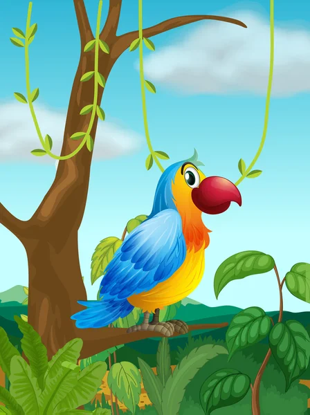 Ein bunter Papagei am Ast eines Baumes — Stockvektor