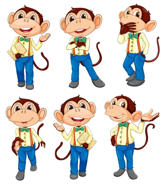 Different positions of a monkey — Stock Vector