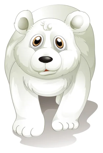 Um urso polar branco gigante —  Vetores de Stock