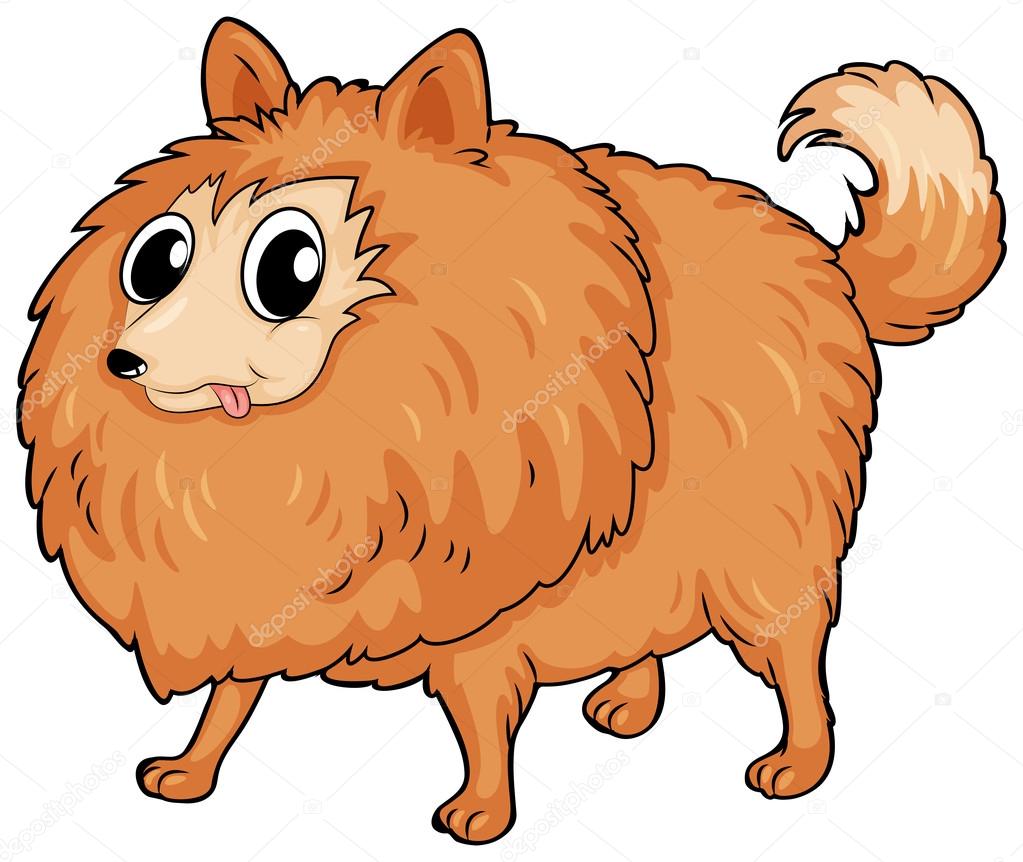 Illustrazione di un cane peloso su sfondo bianco — Vettoriali di interactimages