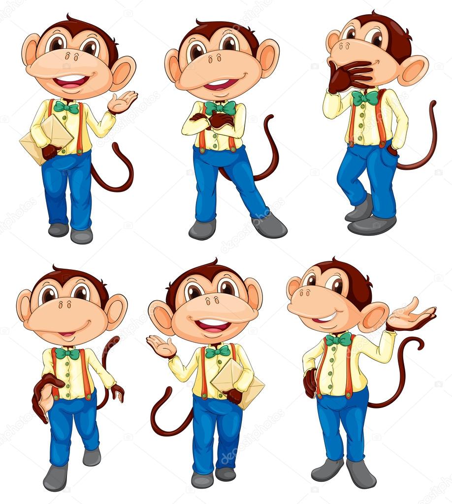 Different positions of a monkey