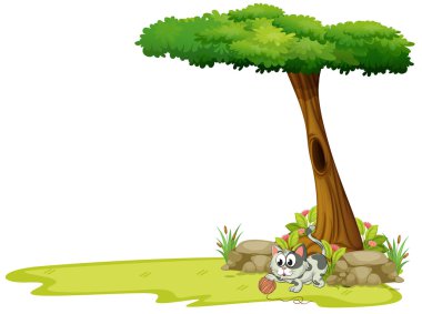 bir ağacın altında bir dize top oynarken Gri kedi
