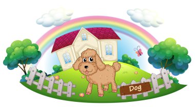een bruine puppy voor een huis