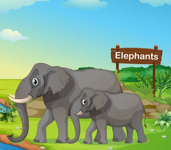 Mały i duży słoń z szyld — Wektor stockowy