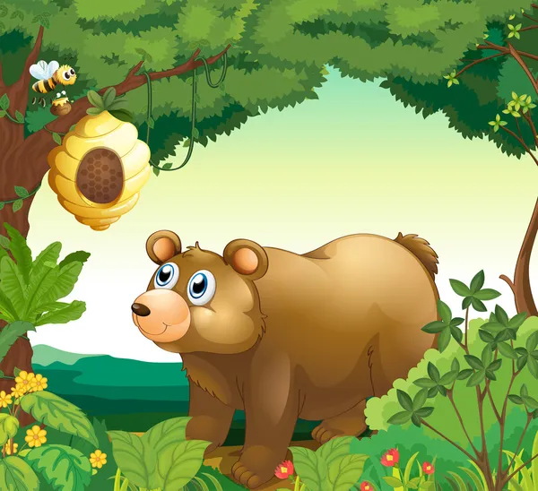 En stor brunbjörn som stirrar på en bikupa — Stock vektor