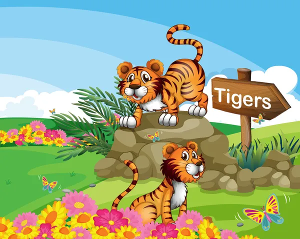 Deux tigres à côté d'un panneau — Image vectorielle