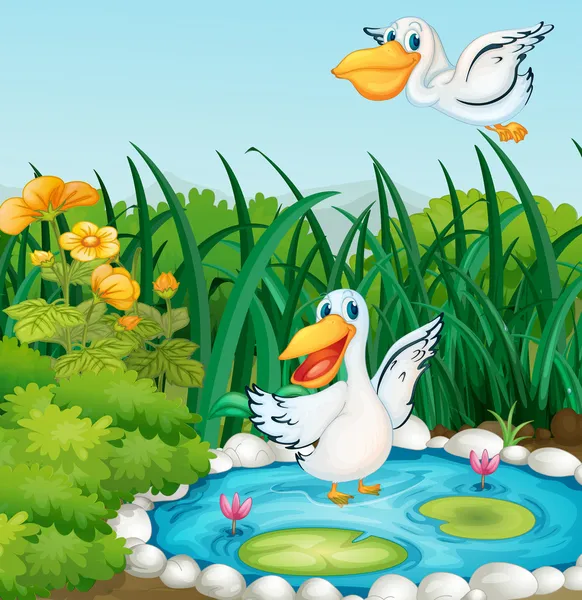 一个池塘与鸭 — 图库矢量图片