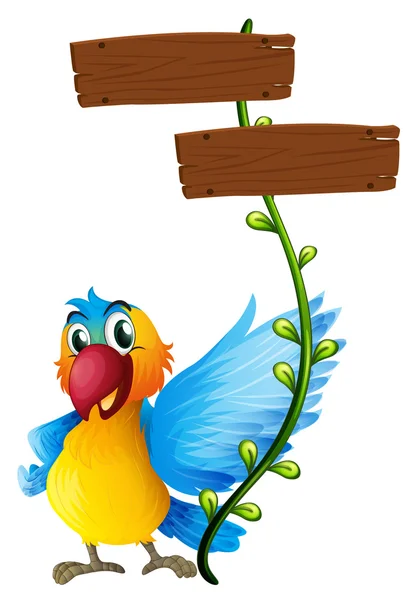 다채로운 앵무새 빈 보드 — 스톡 벡터