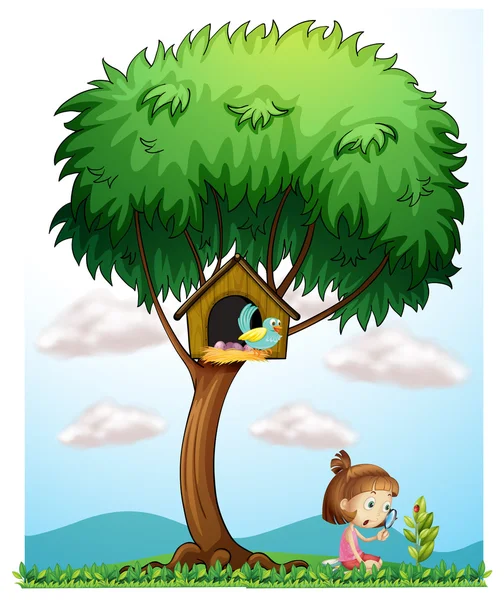 Una chica con una lupa debajo de un gran árbol — Vector de stock