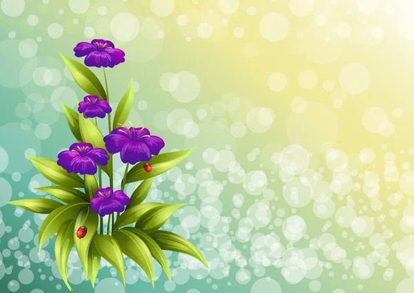 与紫罗兰小花的植物 — 图库矢量图片