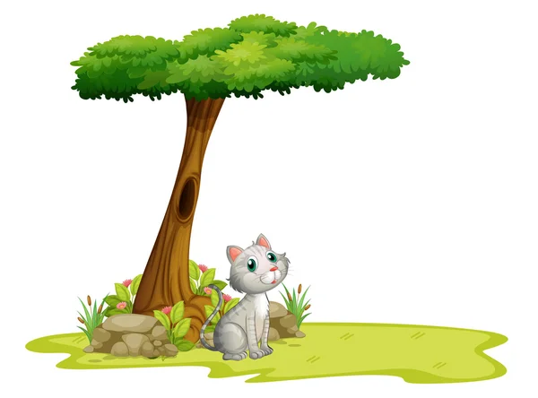 Un gatto sotto un albero — Vettoriale Stock