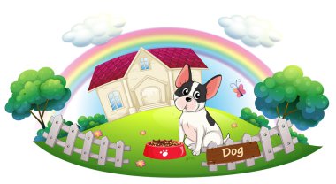bir köpek ve bir evin önünde onun köpek maması