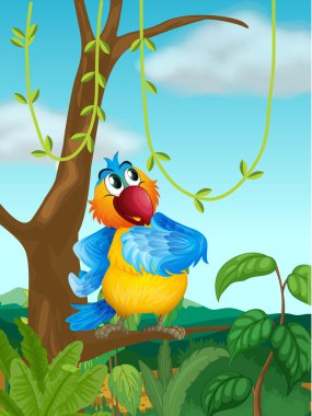 renkli bir kuş olan bir ağaç dalı