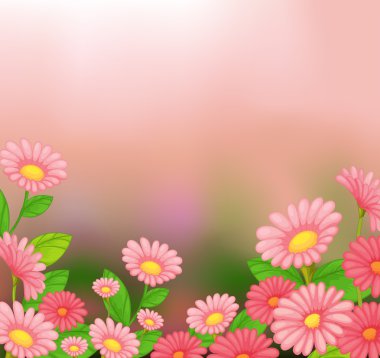 bir görünümü güzel pembe çiçek