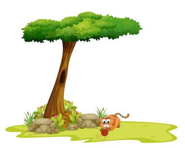 ağacın altında oynayan kedi