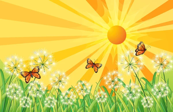 Un décor de coucher de soleil avec des papillons — Image vectorielle