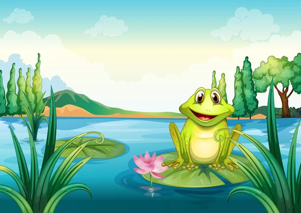 A happy frog above a water lily — Stock Vector