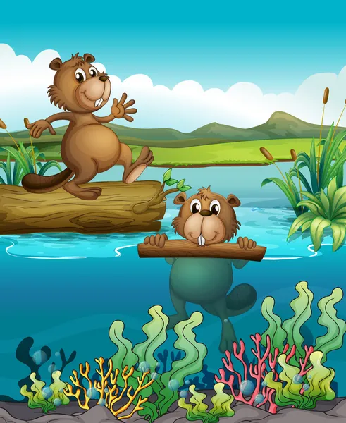 两个海狸在深河 — 图库矢量图片