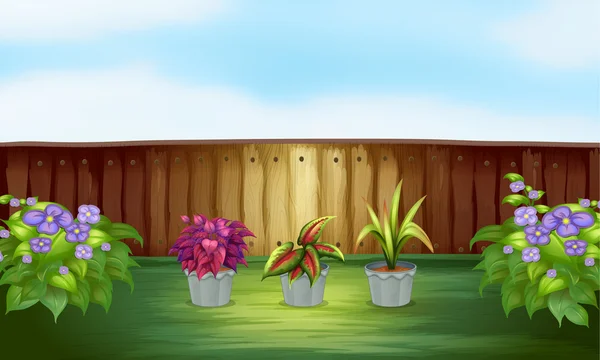 Pot yüksek duvar içinde bitkilerin — Stok Vektör