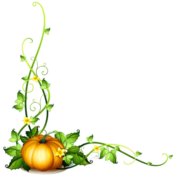Pumpkin with vines Vector Art Stock Images Depositphotos