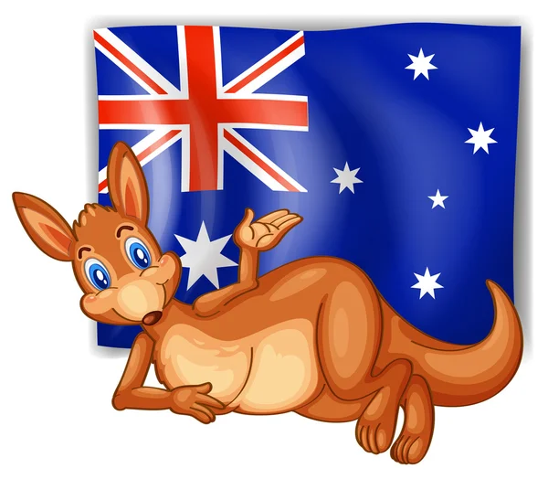 Кенгуру перед австралийским флагом — стоковый вектор