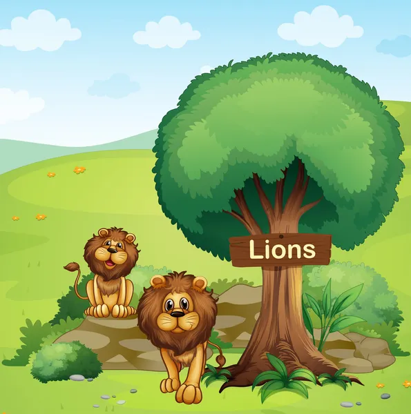 A signboard posted in a tree and the two lions — Stock Vector