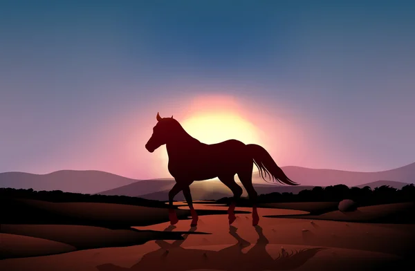 Закат с лошадью — стоковый вектор