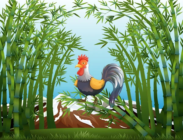 A rooster in the bamboo forest — Stock Vector