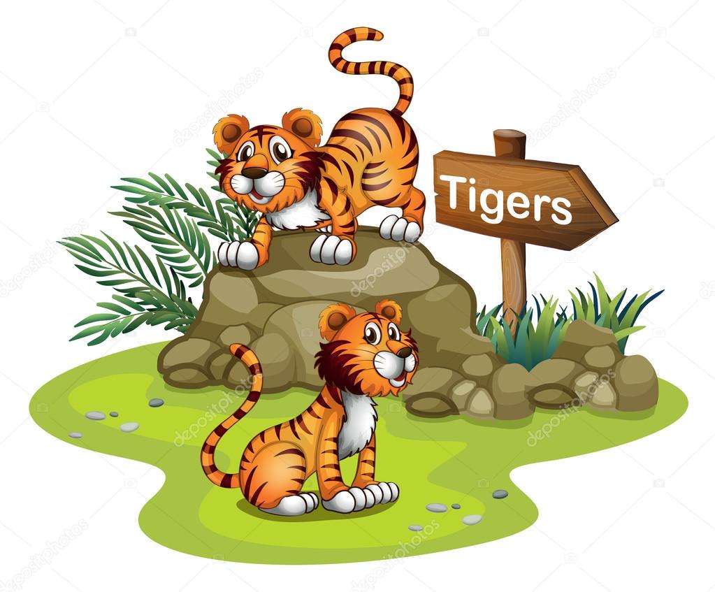 Two tigers with a wooden arrow board
