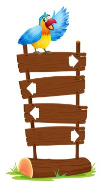 bir papağan üst kısmındaki oklarla levhaları