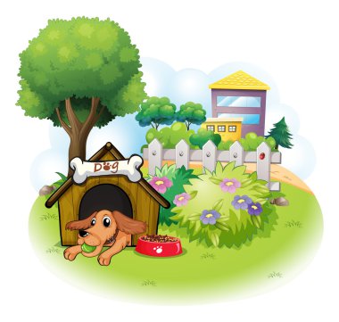 bir kulübe büyük binalar arasında bir köpek