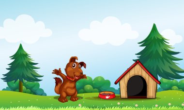 oynak kahverengi köpek yavrusu