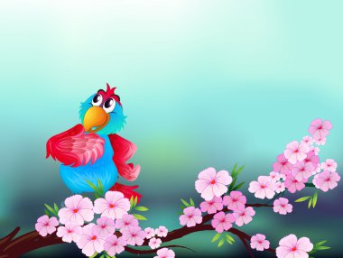 bir papağan'pembe çiçekli ağaç dalı