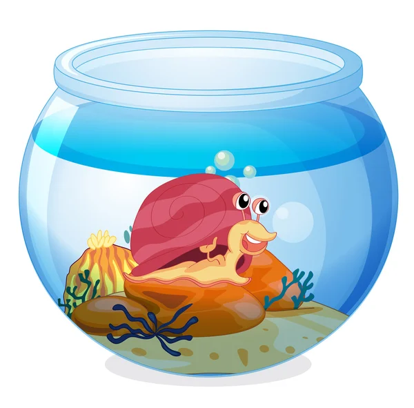 Um caracol dentro de um aquário —  Vetores de Stock