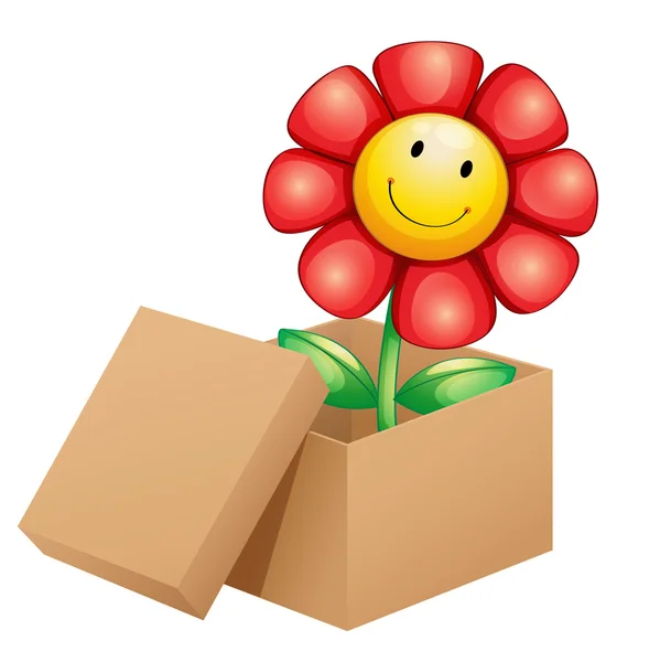 Una flor dentro de la caja — Vector de stock