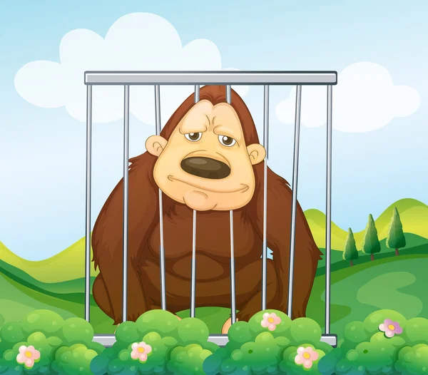 A gorilla in a cage — Stock Vector