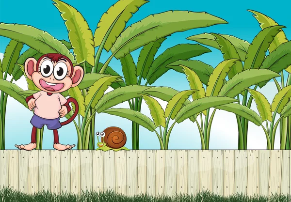 A monkey and a snail above the fence — Stock Vector